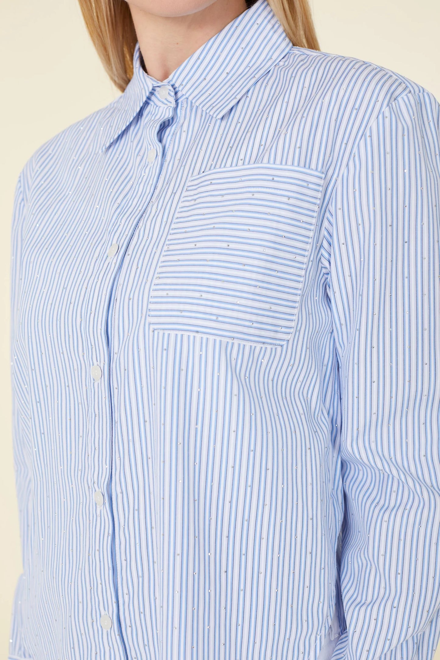 Micro Rhinestone Shirting Blouse